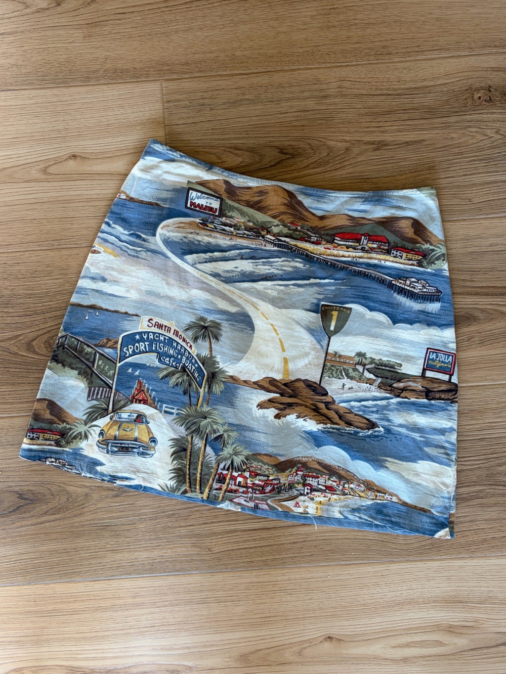 Vintage California Scenic Coastal Print Mini Skirt